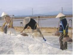 Nhà nước sẽ thực hiện các biện pháp điều tiết thị trường muối