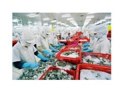 Nông sản Việt Nam gặp hạn vì Trung Quốc