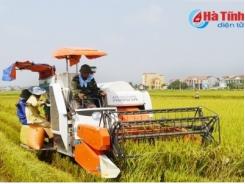 Hạn chế các cuộc họp để tập trung chỉ đạo thu hoạch cây trồng hè thu