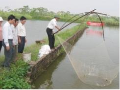 Hướng đi nào cho thủy sản Hà Nội