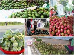 Những trái cây Việt rớt giá từng phải đứng đường, vạ vật vỉa hè