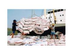 Xuất khẩu gạo 8 tháng qua giảm