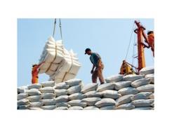 Xuất khẩu gạo Việt Nam đã đạt 3,885 triệu tấn