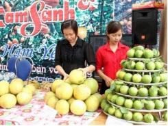 Cơ hội quảng bá, xúc tiến thương mại và đầu tư nông nghiệp vùng Tây Bắc