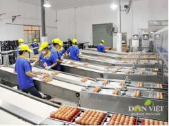 Ba Huân mở rộng chuỗi liên kết sạch từ trang trại tới bàn ăn