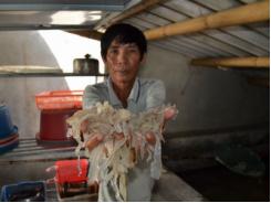 Formosa xả thải độc Nông dân sản xuất giỏi méo mặt