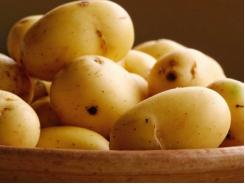 Quy trình quản lý tổng hợp trong sản xuất khoai tây giống sạch bệnh đã được phục tráng
