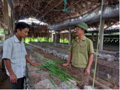 Bỏ trăm nghề, thỏa đam mê với thỏ