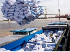 Trung Quốc cấp phép cho 8 công ty khử trùng gạo xuất khẩu