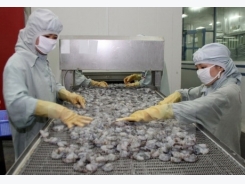 Asia an emerging market of Vietnam’s shrimp industry