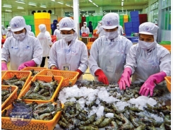 US extends antidumping order on Vietnamese shrimp