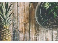 How to Grow a Pineapple Indoors