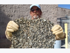 Oysters loom large in Fish 2.0 finals