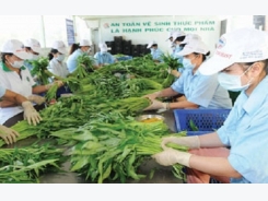 Vegetable and fruit export, import turnover rockets up
