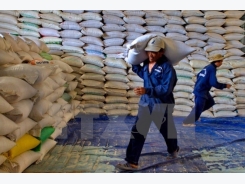 Rice exporters advised to diversify markets