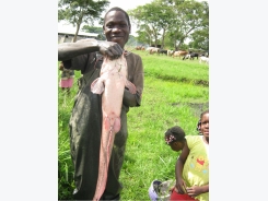 Investing in Africa’s aquaculture future, part 2