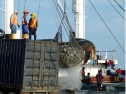 Ecuador xây dựng luật khai thác và nuôi trồng mới khi giá cá ngừ tăng