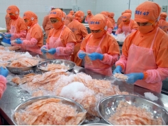 Aquatic exports hit 5.91 billion USD in nine months