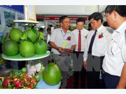 Vietnam largest agriculture expo opens in HCM City