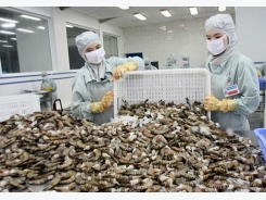 Bottom falls out of US market as Vietnamese shrimp sales plummet