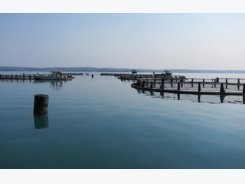 Abu Dhabi hires BMT to explore potential of three aquaculture sites in Arabian Gulf