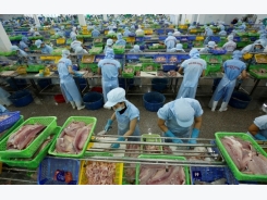 Vietnamese exporters in the dark about changes to US food quality regulations