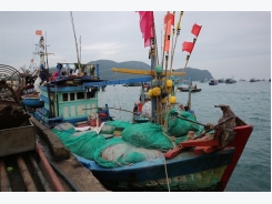 Doanh nghiệp hải sản bắt tay chống IUU