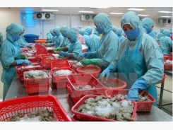 Agro-forestry-fishery exports hit 27 billion USD in nine months