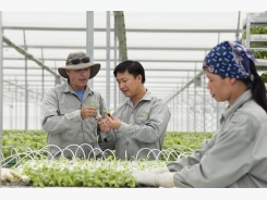 Hi-tech farms offer a vision of the future, today