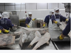 Seafood export enterprise of Vietnam would not be affected by FSMA