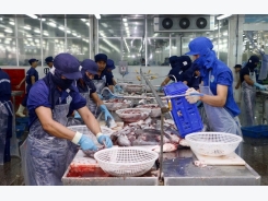Việt Nam tra fish exporters protest US duties