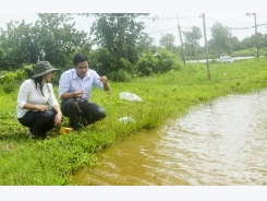 Tăng cường giải pháp quản lý ao tôm trong mùa mưa