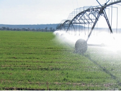 Smart irrigation saves water