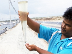 Biofloc technology: Possible prevention for shrimp diseases