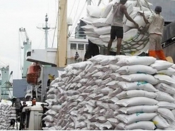 Rice exports to follow strong upward trend