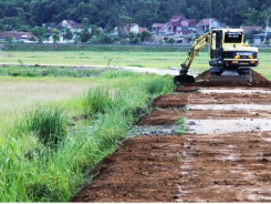 Ai nói trồng lúa không giàu, hãy đến xem mô hình này ở Nghi Xuân