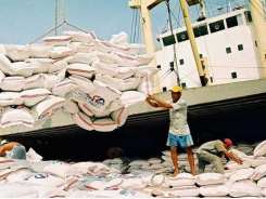 Vietnam encounters barriers exporting rice to China