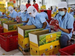Farm produce exports to China face higher quality standards