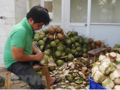 Trà Vinh promotes farming of key crops