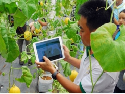 Vietnam should apply new tech to agriculture: experts