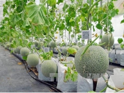 New policy to lure investment into agricultural and rural development