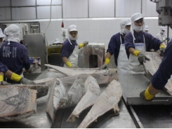 Three key markets of Vietnam export seafood
