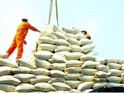 Rice exports: Opportunities in traditional markets