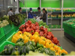Vegetable, fruit exports hit 2.7 billion USD in eight months