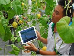 Can Tho promotes startup spirit among farmers