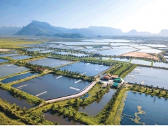 Land Based Sustainable Aquaculture Strategy - Part 12