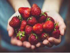 Seven crops to plant in late winter