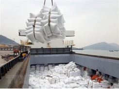 Seven-month rice export up in volume, but down in value