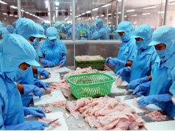 Seafood business under pressure to boost competitiveness