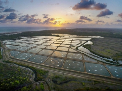 Tác động đến môi trường của nuôi trồng thủy sản là gì?